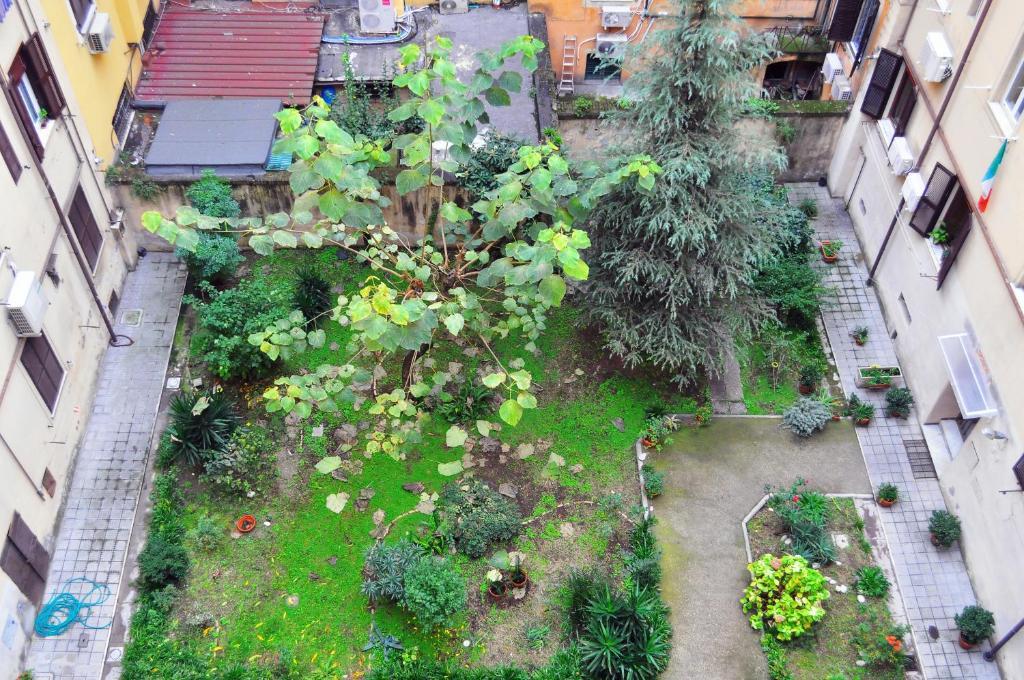 Blue Rain Guest House روما المظهر الخارجي الصورة